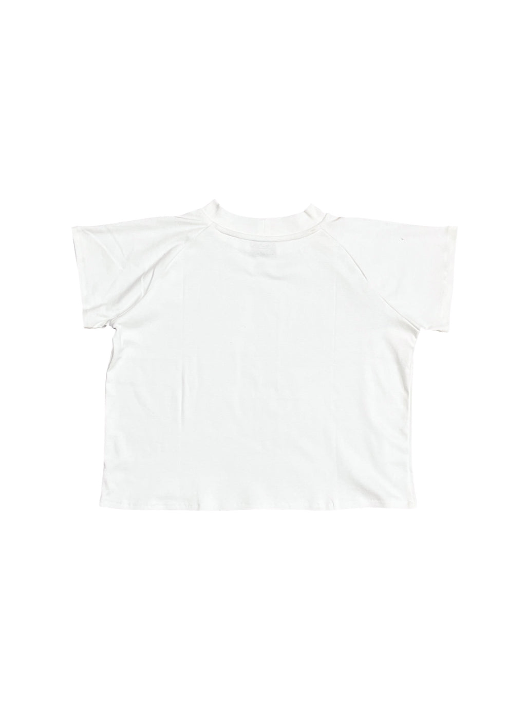 PORN RULES RAGLAN T-SHIRT