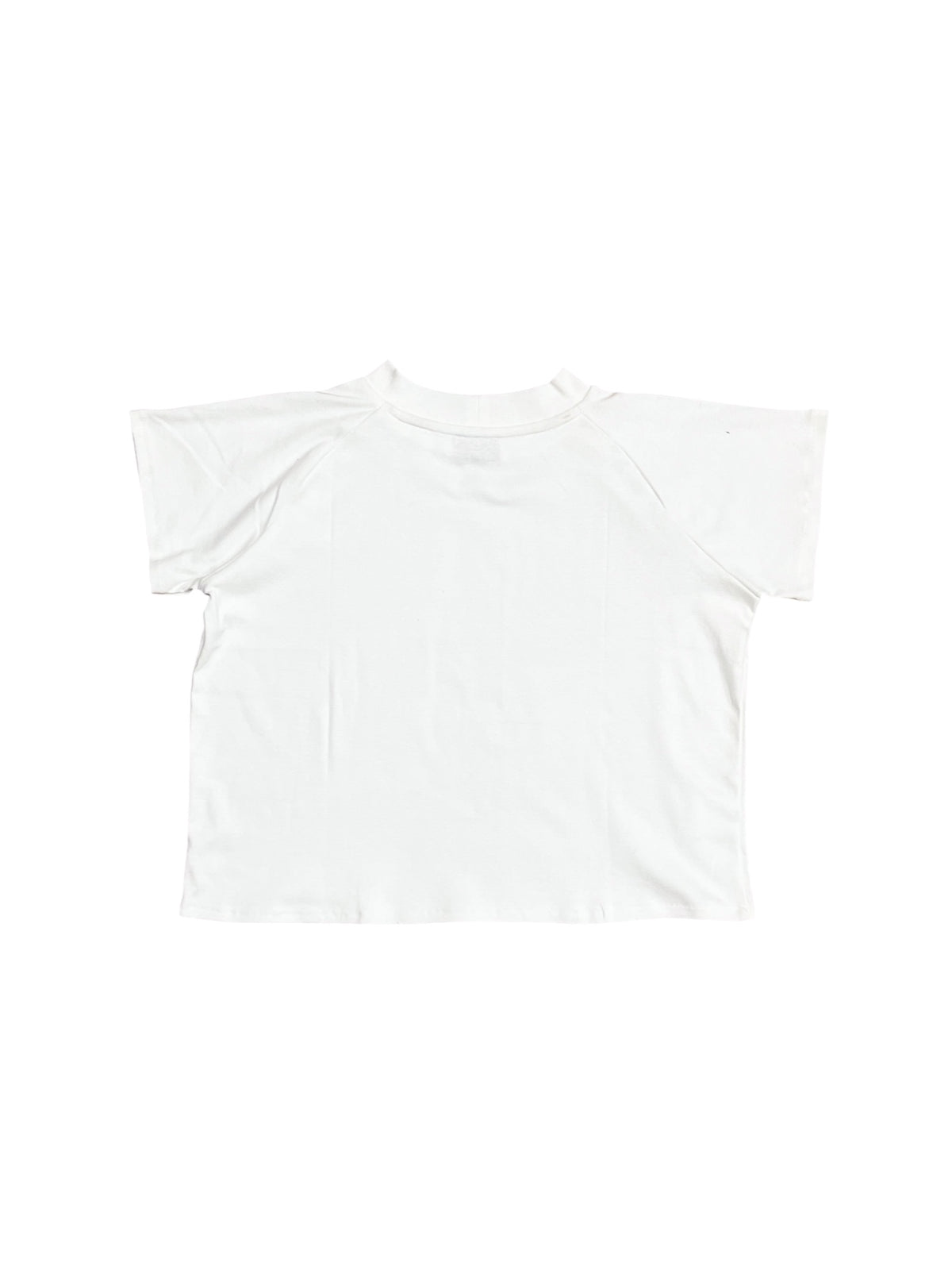PORN RULES RAGLAN T-SHIRT